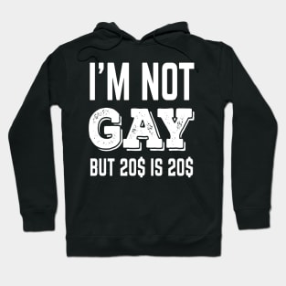 Not Gay But 20$ is 20$ Hoodie